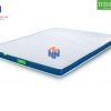 Nệm Ngủ Ngon - Nệm cao su tổng hợp - Tatana