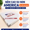 Nệm Ngủ Ngon - Nệm cao su non America gấm đan mạch