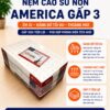 Nệm Ngủ Ngon - Nệm cao su non America gấp 3
