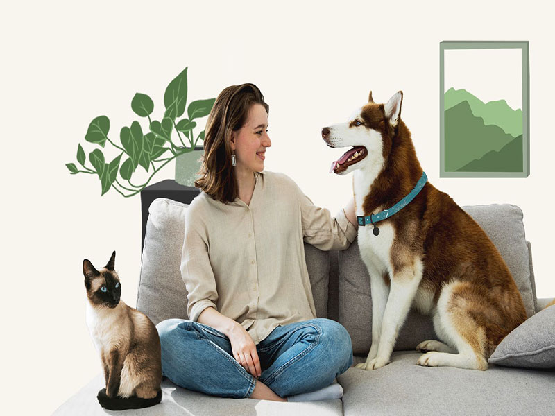Nệm Ngủ Ngon - Ở nhà mùa dịch thì làm gì? 5 việc làm đơn giản giúp bạn thư giãn hơn
