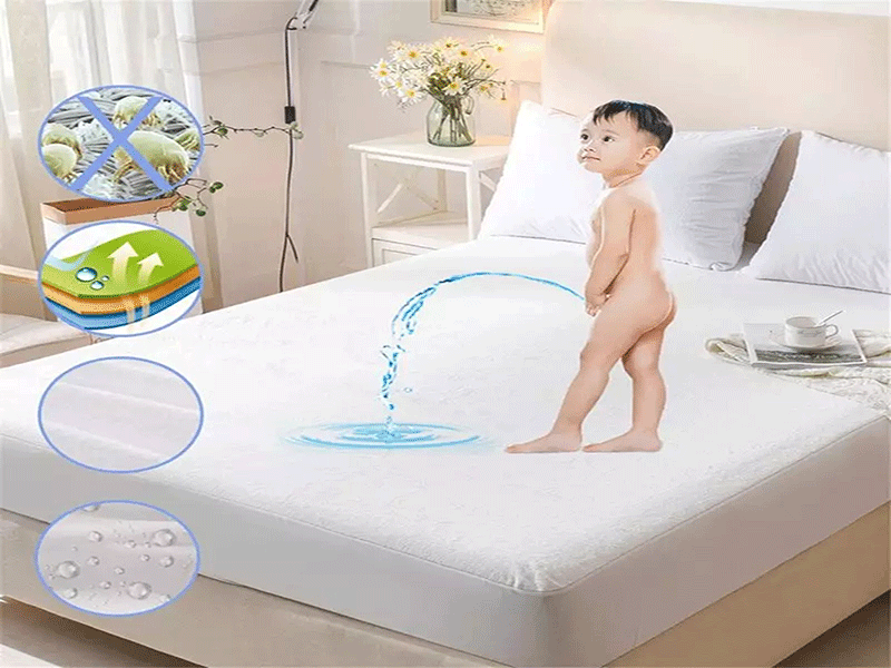 Nệm Ngủ Ngon - Chỉ với 2 vật dụng này sẽ giúp bảo vệ tấm nệm thân yêu của bạn!