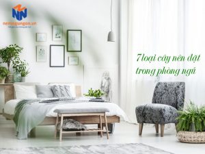 Nệm Ngủ Ngon -