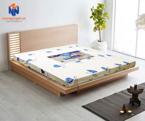 Nệm Ngủ Ngon - Giá nệm cao su tại Nệm Ngủ Ngon tháng 10/2021