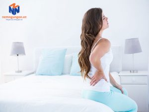 Nệm Ngủ Ngon - 3 mẫu nệm cho người bị đau lưng được yêu thích nhất
