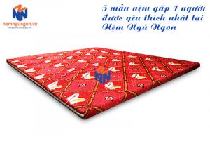 Nệm Ngủ Ngon - Bạn đang tìm nệm gấp 1 người nằm? Chọn ngay 5 mẫu bán chạy nhất tại Nệm Ngủ Ngon