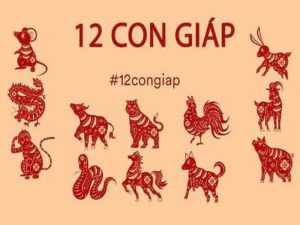 Nệm Ngủ Ngon - Tử vi 12 con giáp trong năm Nhâm Dần