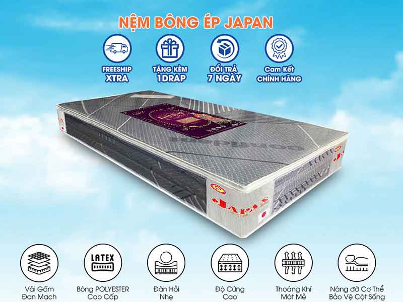 Nệm Ngủ Ngon - 3 mẫu nệm bông ép giá rẻ 2025 tại Nệm Ngủ Ngon được yêu thích nhất