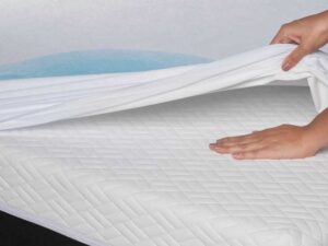 Nệm Ngủ Ngon - Nệm bị ướt nên làm gì? 3 bước chi tiết cứu nệm khỏi nấm mốc và mùi hôi