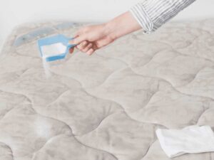 Nệm Ngủ Ngon - Nệm bị ướt nên làm gì? 3 bước chi tiết cứu nệm khỏi nấm mốc và mùi hôi