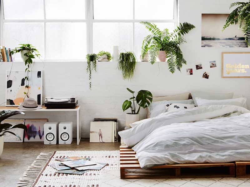 Nệm Ngủ Ngon - Phòng nhiều muỗi phải làm sao?