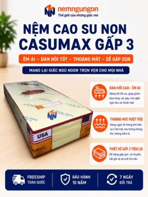 Nệm Ngủ Ngon - Nệm cao su non Casumax gấp 3