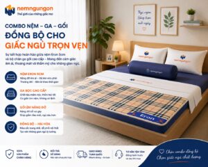 Nệm Ngủ Ngon - Conbo gối nệm