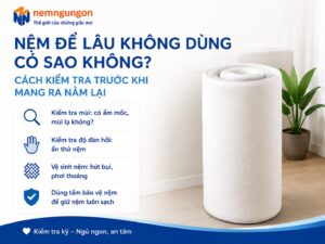 Nệm Ngủ Ngon - Nệm để lâu không dùng có sao không