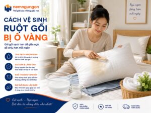 Nệm Ngủ Ngon - Vệ sinh ruột gối bị ố vàng