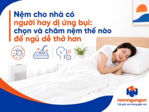 Nệm Ngủ Ngon - Nệm cho nhà có người hay dị ứng bụi