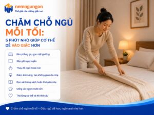 Nệm Ngủ Ngon - Chăm chỗ ngủ mỗi tối