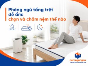 Nệm Ngủ Ngon - Phòng ngủ tầng trệt dễ ẩm