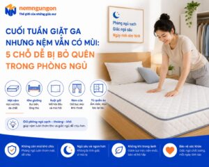 Nệm Ngủ Ngon - Cuối tuần giặt ga nhưng vẫn có mùi