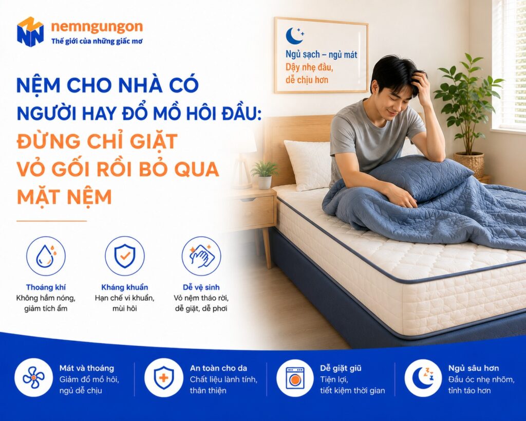 Nệm Ngủ Ngon - Người hay đổ mồ hôi đầu