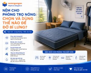 Nệm Ngủ Ngon - Nệm cho phòng trọ nóng