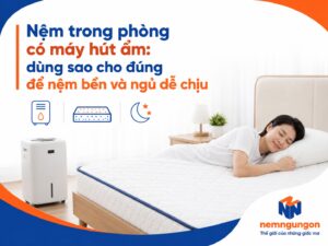 Nệm Ngủ Ngon - Nệm trong phòng có máy hút ẩm
