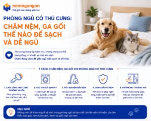 Nệm Ngủ Ngon - Phòng ngủ có thú cưng