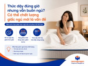 Nệm Ngủ Ngon - Chất lượng giấc ngủ