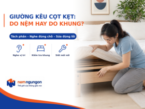 Nệm Ngủ Ngon - Giường kêu cót két